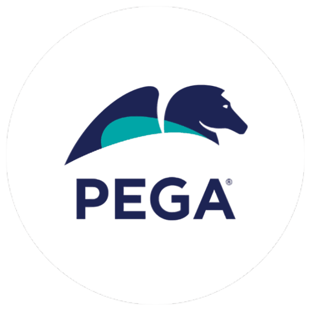 6667b825b31d4041c204f360_PegaPage-logo